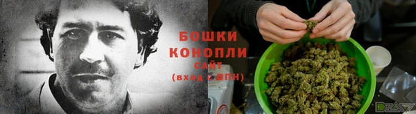 спайс Баксан
