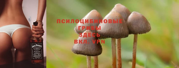 спайс Баксан