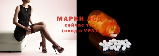 спайс Баксан