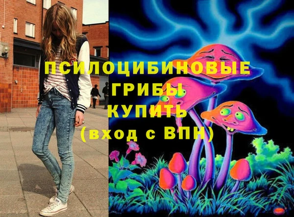 гидра Балахна
