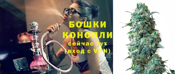 спайс Баксан