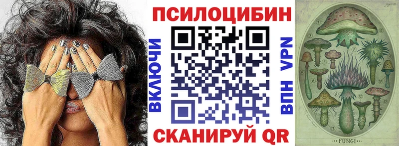 Псилоцибиновые грибы GOLDEN TEACHER  Теберда 